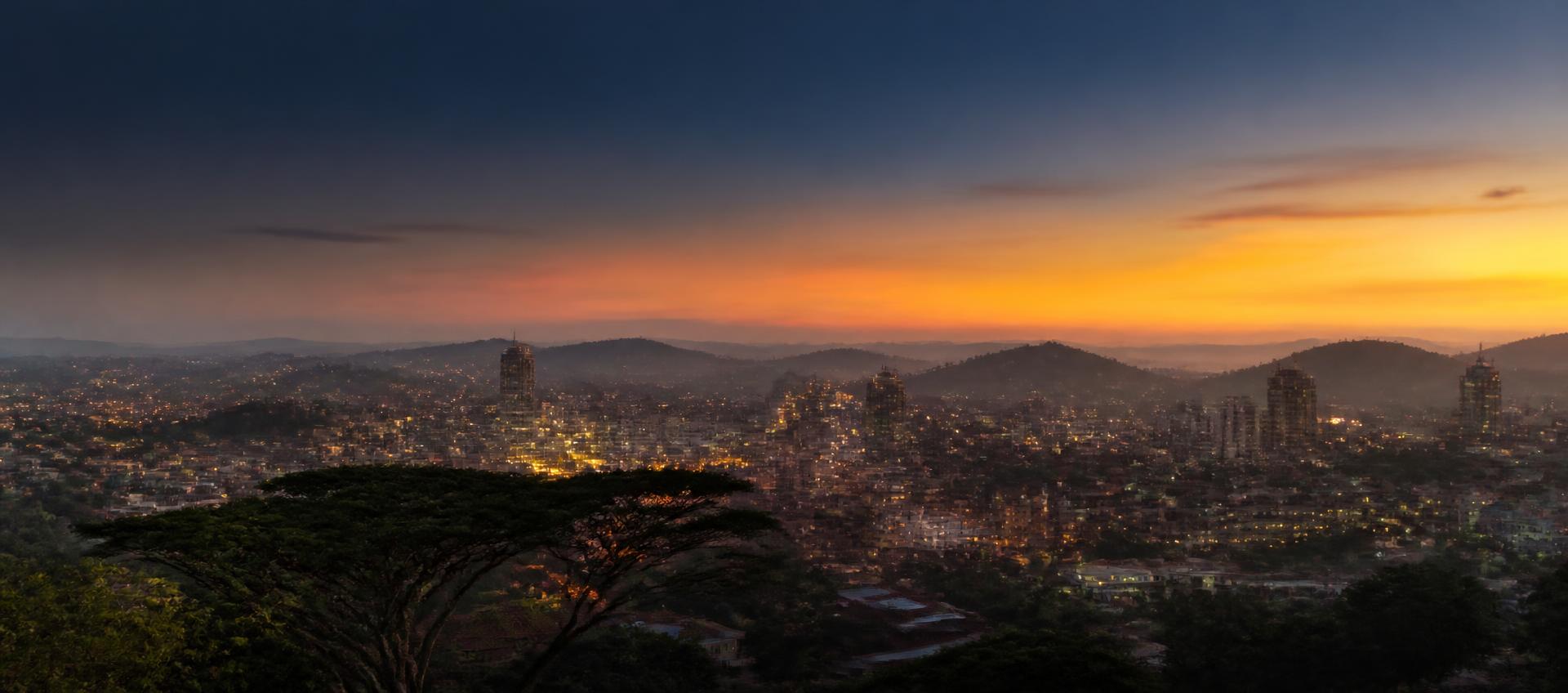 Kampala's hills and rooftops at dusk, an acacia tree silhouetted in the foreground